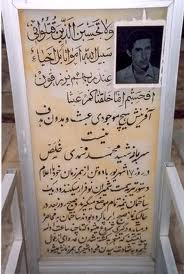 محمد محمدی خلص