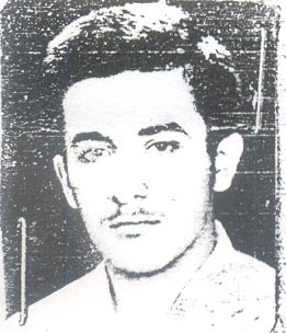 محمدرضا مطیعی راد