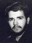 امیر لطفی