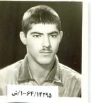 مسعود مرادی مشکی