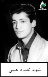 محمود حبیبی