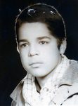 رضا شاهانی