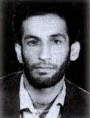 حبیب محمدی