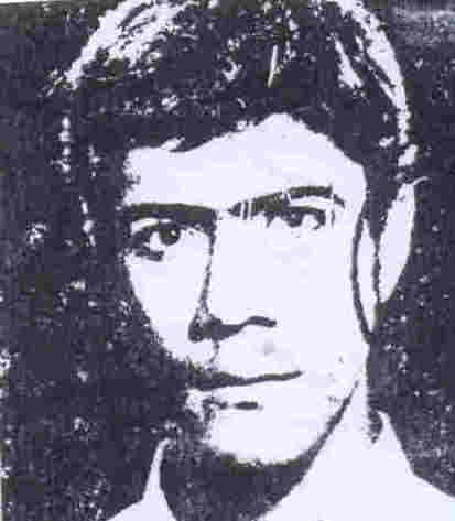 مجید پناهی اراللو
