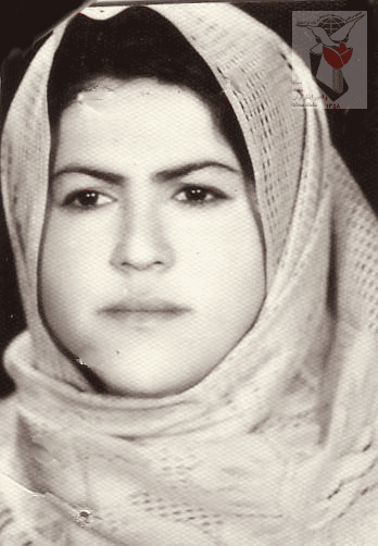 حکومه شاهی ارجقی