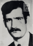 بهزاد برزو