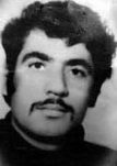 محمدتقی کیائی
