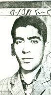 محمدحسین نواب اصفهانی