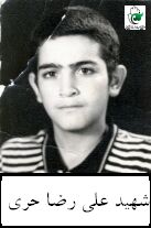 علی رضا حری