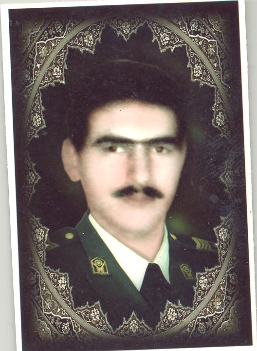 مجتبی محمدنقی