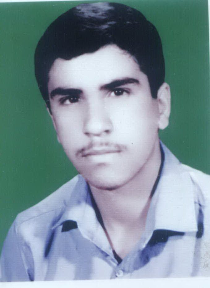 محمود محمدی فرد