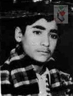 محمدرضا صلواتی