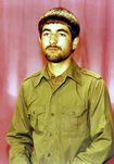 محمود سلطان محمدی