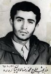 محمدرضا لولاچیان