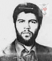 داود ناظم الیکاوشوشادی