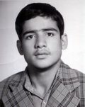 ولی اله شیری