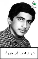محمدباقر خورک
