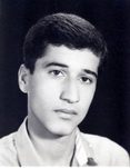 مجید ولی زاده