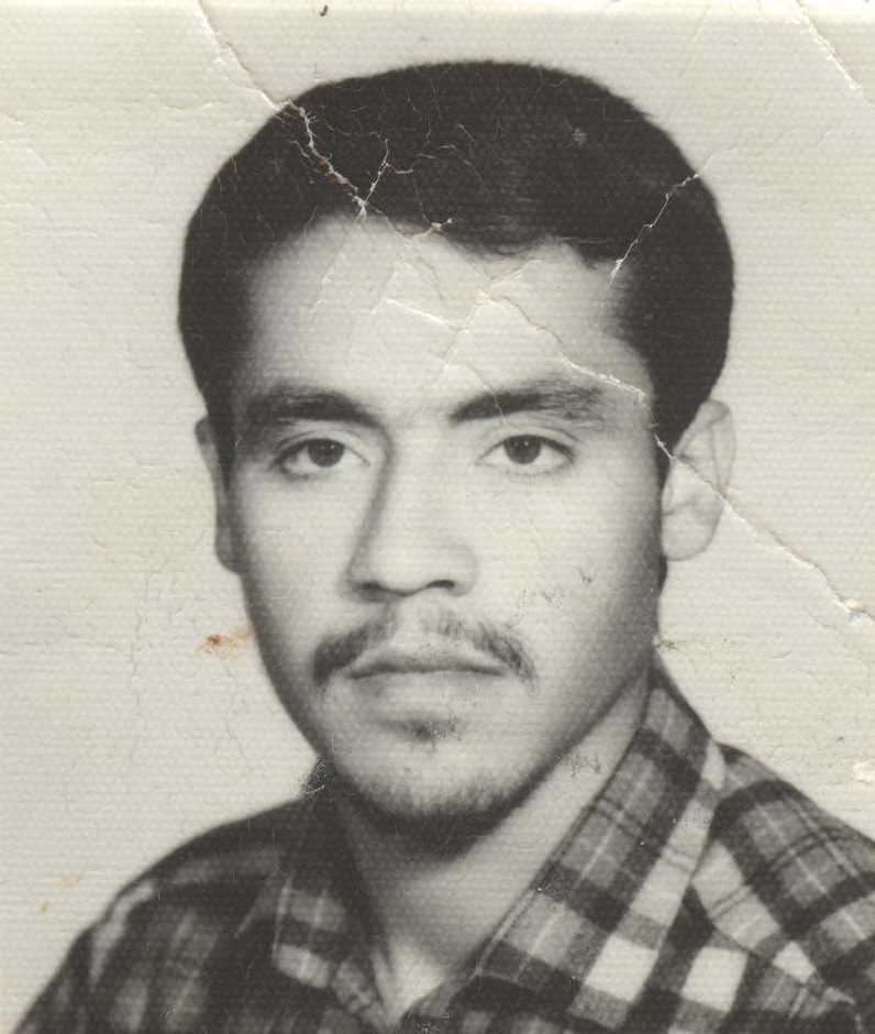 مهدی میرابی