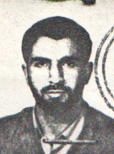 رضا درزی