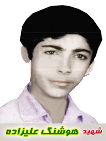 هوشنگ علی زاده مغانی