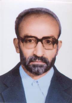 حسن سالمی