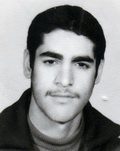 محمد مولوی