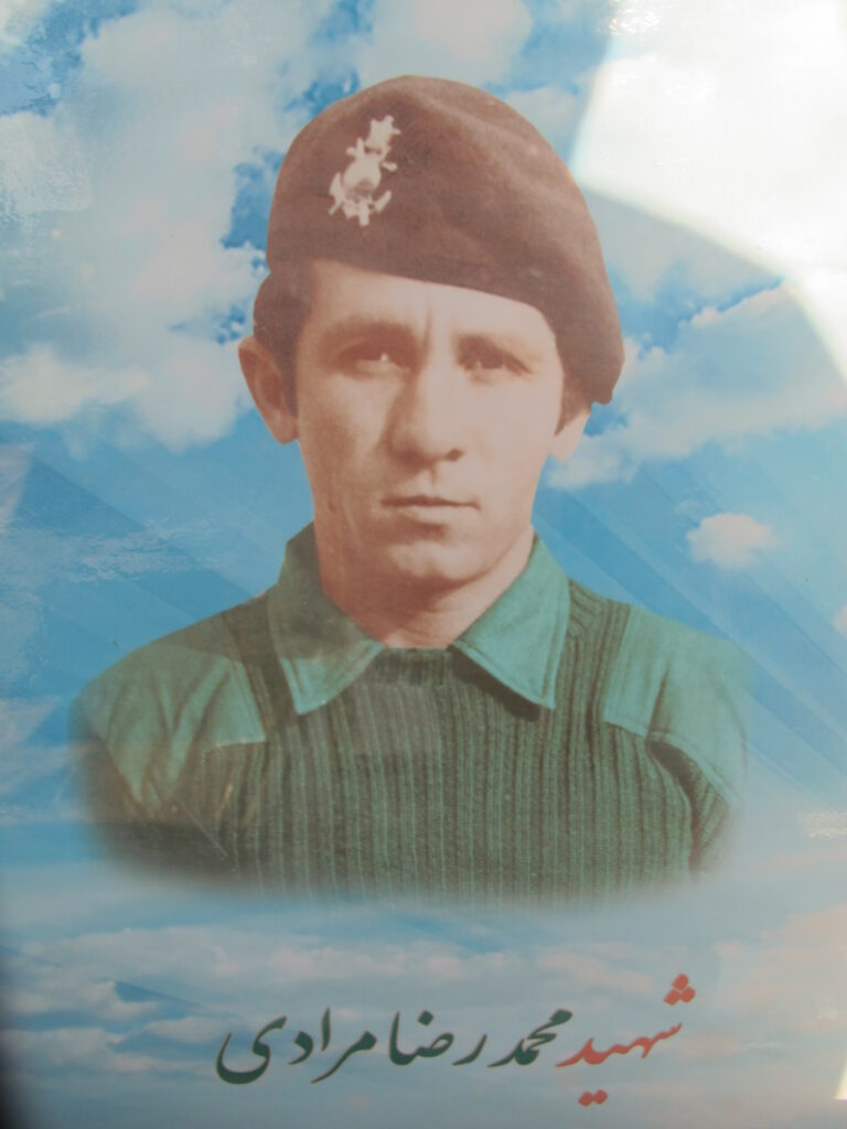 محمدرضا مرادی