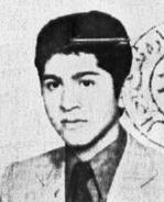 سیاوش میرابی