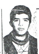 قاسم حریری