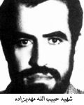 حبیب مهدی زاده طاهر
