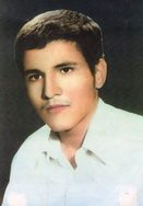 رضا اسلامی