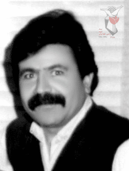 علی رضا بادفر