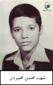 محسن محمودی