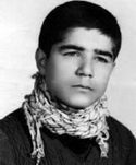 رضا جوادی