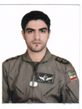 حسن حسنی