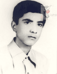 محمود محب حسینی