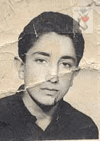 احمد محمودی طزرقی