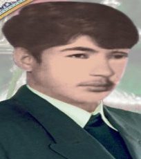 کمال قزل کایا
