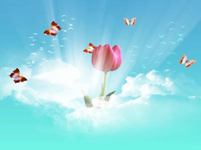 فریده آقابابایی