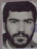 محمد رضایی