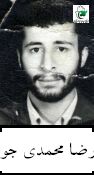 رضا محمدی جوپشت