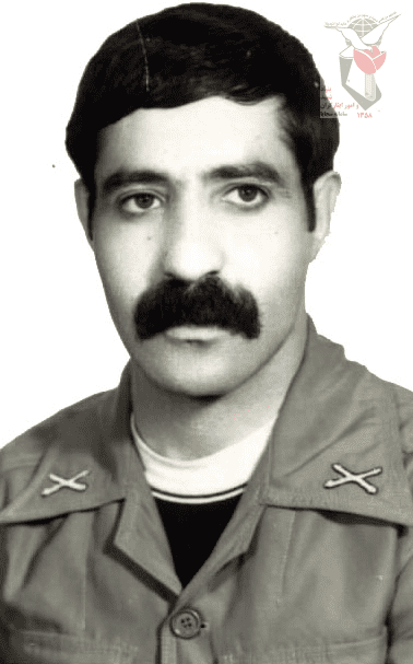 رضا هنرورنمین