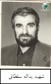 یداله سلطانی