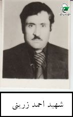 احمد زرینی