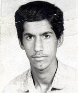 محمدحسین باغیانی