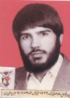 سید فضل اله طباطبایی شیرازانی