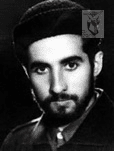 الطفات شرافتی اسبگرانی