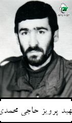 پرویز حاجی محمدی
