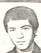 محمود علی بابائی لکی
